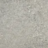 Buddha gris